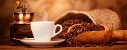Coffee Arabica 200 500 B