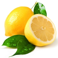 30201 Lemon 300 300