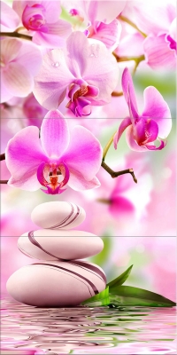 Melissa purple orchid 900 450
