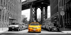 Yellow Taxi 300 600 C