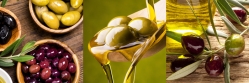 Olives mix 200 600 C