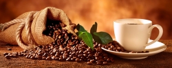 Coffee Arabica 200 500 C